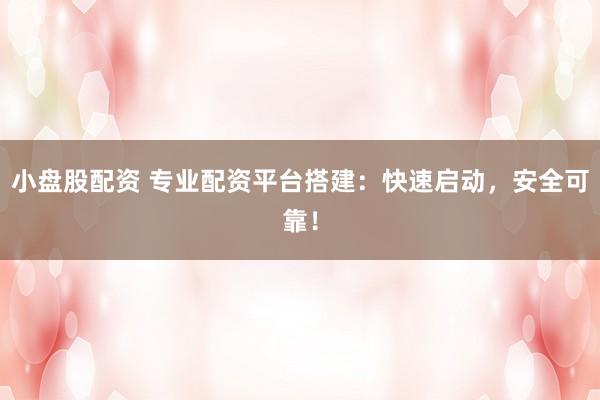 小盘股配资 专业配资平台搭建：快速启动，安全可靠！